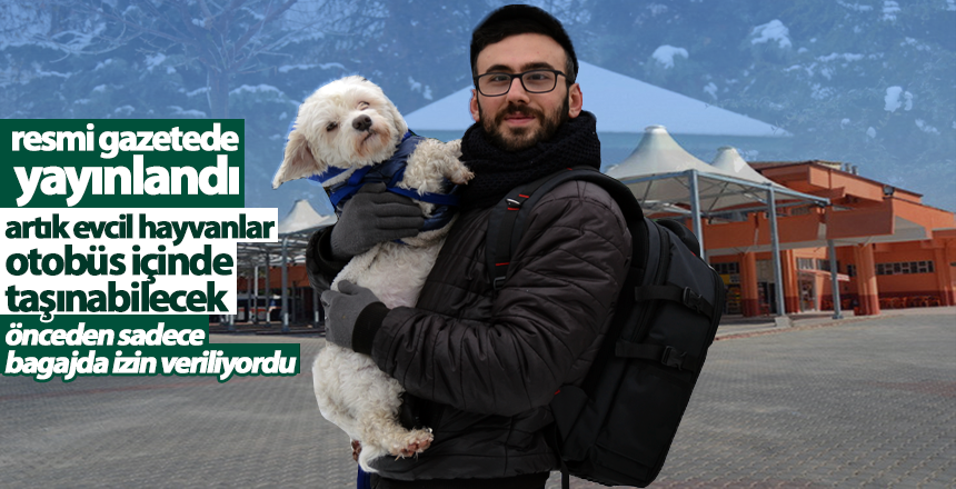 Evcil Hayvan Sahiplerine İyi Haber, Artık Otobüs İçinde Taşınabilecek