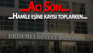 Hamile Eşine Kayısı Toplarken!