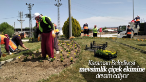 Karaman Belediyesi Mevsimlik Çiçek Ekimine Devam Ediyor