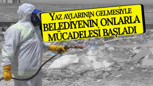 Yaz Aylarının Gelmesiyle Belediyenin Onlarla Mücadelesi Başladı