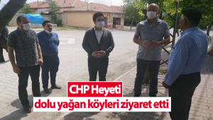 CHP Heyeti Dolu Yağan Köyleri Ziyaret Etti