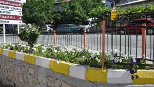 Çiçek Dikim Çalışmaları Gerçekleştiriliyor