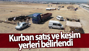Karaman'da Kurban Satış ve Kesim Yerleri Belirlendi
