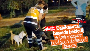 Duyarlı Köpekten Helal Olsun Dedirtecek Davranış