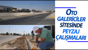 Oto Galeri̇ci̇ler Si̇tesi̇nde Peyzaj Çalışması