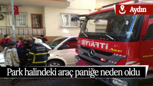 Aydın'da park halindeki araç paniğe neden oldu