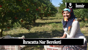 İhracatta Nar Bereketi