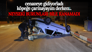 Karaman'da Köpeğe Çarpmamak İçin Takla Attı!