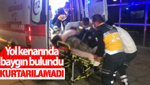 Karaman'da Yol Kenarında Baygın Bulundu! Kurtarılamadı!