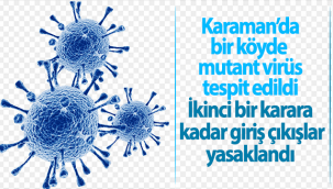 Karaman'da Mutant Virüs Görülen Köy Karantinaya Alındı