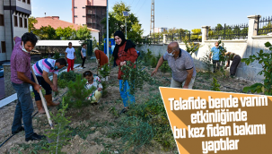 Telafide Bende Varım Etkinliğinde Bu Kez Fidan Bakımı Yaptılar
