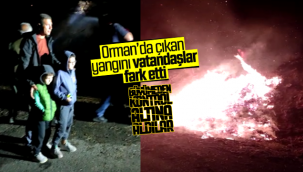 Karaman'da Ormanda Çıkan Yangını Vatandaşlar Fark Etti