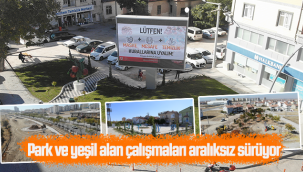 Park ve Yeşil Alan Çalışmaları Aralıksız Devam Ediyor