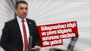 Süleymanhacı Köyü ve Çevre Köylerin Sorunlarını Mecliste Dile Getirdi