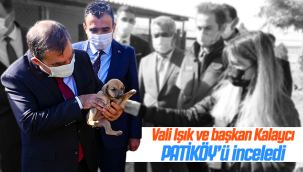 Vali Işık ve Başkan Kalaycı Patiköy'ü İnceledi