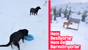 Hem Besliyorlar Hem de Barındırıyorlar