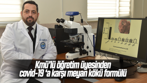 Kmü'lü Öğretim Üyesinden Covid-19 'a Karşı Meyan Kökü Formülü