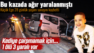 Küçük Ege 28 Günlük Yaşam Savaşını Kaybetti