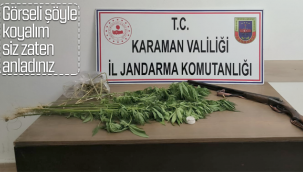 Karaman'da Jandarmadan Kenevir Operasyonu
