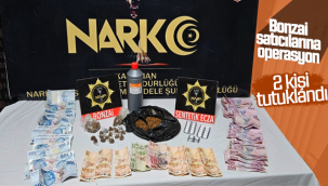 Karaman'da Bonzai Satıcılarına Operasyon!