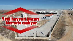 Karaman'da Yeni Hayvan Pazarı Hizmete Giriyor