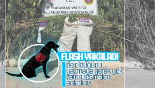 Karaman'da Jandarma Köpeği Flash Yakaladı