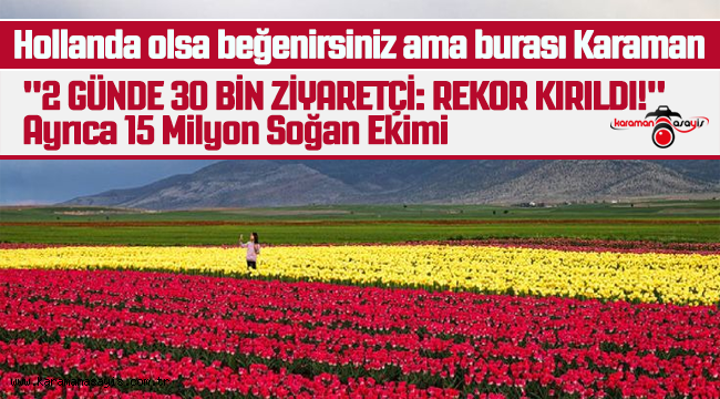 Hollanda Değil Karaman! Lale Tarlalarında Ziyaretçi Rekoru: 2 Günde 30 Bin Kişi!