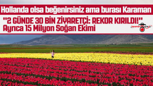 Hollanda Değil Karaman! Lale Tarlalarında Ziyaretçi Rekoru: 2 Günde 30 Bin Kişi!