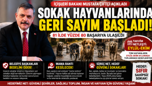 Bakan Çiftçi'den Belediyelere Net Mesaj: "Sokaklarda Hayvan Kalmayacak!"