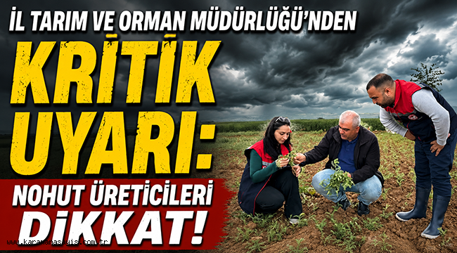 İl Tarım ve Orman Müdürlüğü'nden Kritik Uyarı: Nohut Üreticileri Dikkat!