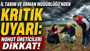 İl Tarım ve Orman Müdürlüğü'nden Kritik Uyarı: Nohut Üreticileri Dikkat!