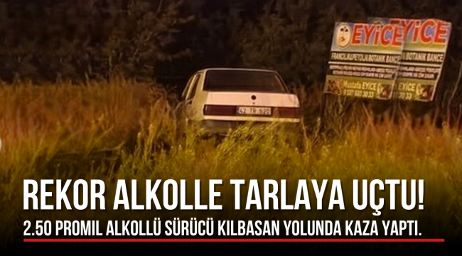 Karaman'da Alkollü Sürücü Dehşeti: Kontrolden Çıkan Otomobil Tarlaya Uçtu!