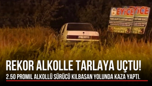 Karaman'da Alkollü Sürücü Dehşeti: Kontrolden Çıkan Otomobil Tarlaya Uçtu!