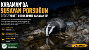 Karaman'da Susayan Porsuğun Gece Ziyareti Fotokapana Yakalanan Görüntülerle Ortaya Çıktı!